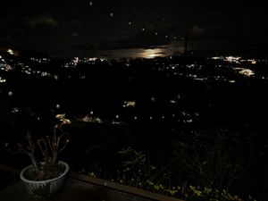   at Dalat Harmony Garden in Da Lat