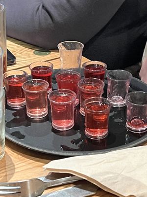 Vegan shots   at The Gatekeeper - JD Wetherspoons in Cardiff