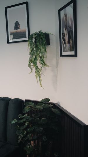  at WALD&WIESE in Sinzing