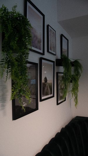  at WALD&WIESE in Sinzing