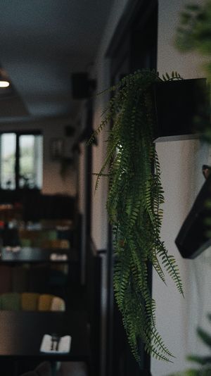  at WALD&WIESE in Sinzing