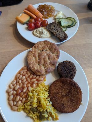 Vegan plate at Log Restaurant in Sinettae