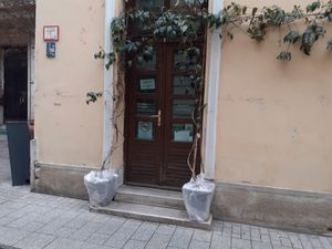  at Dynamo Bake in Budapest