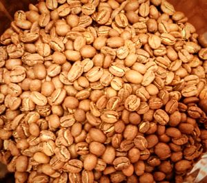 recently roasted coffee with non-dairy milk at Canada Cupcake Cafe in Alicante