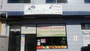 outside at La Flor De La Vida in Tijuana