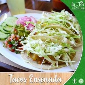  at La Flor De La Vida in Tijuana