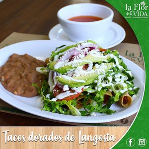  at La Flor De La Vida in Tijuana