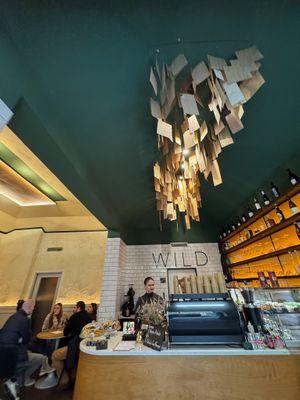 Vegan options  at WILD cafe  in Prague