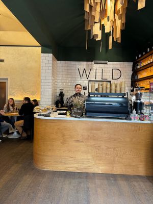 Vegan options  at WILD cafe  in Prague