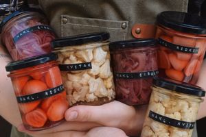 Vegan options  at WILD cafe  in Prague