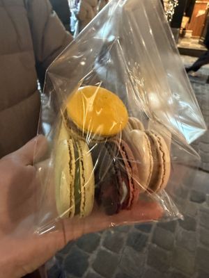   at BS40  in Brussels