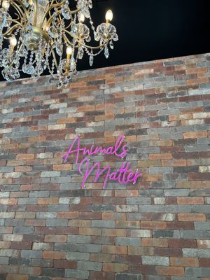 AM cafe = Animal Matters 💚  at AM Cafe in Vancouver