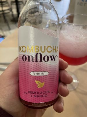 Kombucha   at Sol Veggie in Logrono