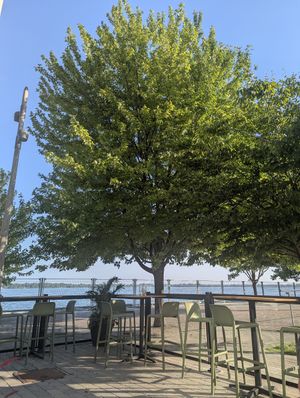 View at SIMONA in Toronto