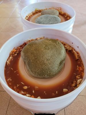 Kimchi fermentation 🌶😎 at Oryza Om Tempeh in Brisas De Zicatela