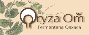  at Oryza Om Tempeh in Brisas De Zicatela
