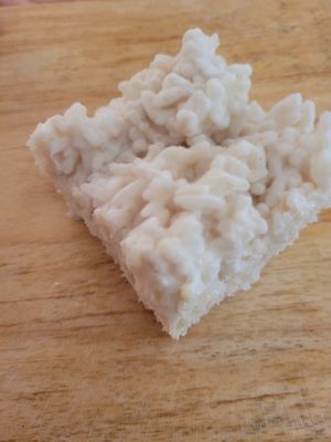 Fresh Koji at Oryza Om Tempeh in Brisas De Zicatela