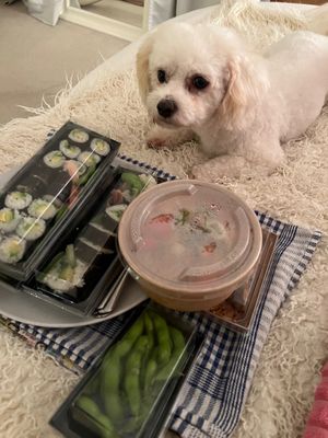 Edamame noodles and sushi platter at Boba Tigers in Rochester
