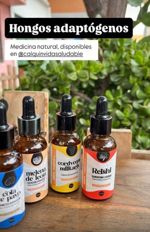 Los 🍄 adaptógenos ayudan al cuerpo a adaptarse al estrés, equilibrar el sistema inmune y mejorar la vitalidad general. Usados en medicina tradicional china, ayurvedica e indí at Calquin Vida Saludable in Antofagasta