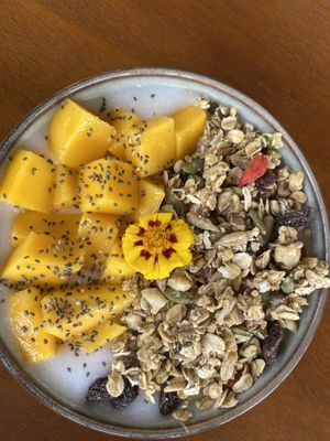 Coconut yoghurt 🤩 TASTY PROBIOTICS   at Cooper's Farm2Plate in Ao Nang