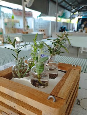  at Reach - Maybe closed in Phuket