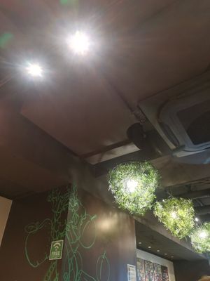 Interior at Ko-So Cafe in Tokyo