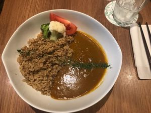 Tasty vegan curry  at Ko-So Cafe in Tokyo