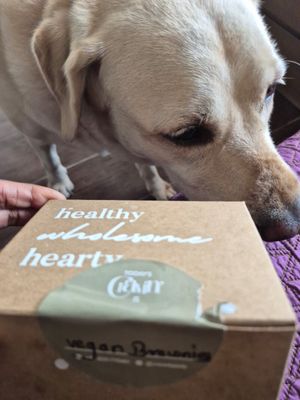 Vegan brownies (uber moisr, gooey and delicious!) at The Cravin' Pantry in Mumbai