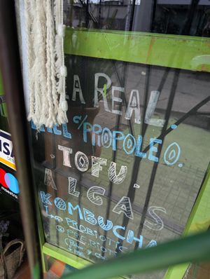 Tofu at SanaMente in Paysandu