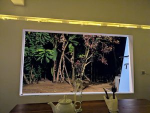 View from the table at Riosy Vegan Restaurant in Tangalle