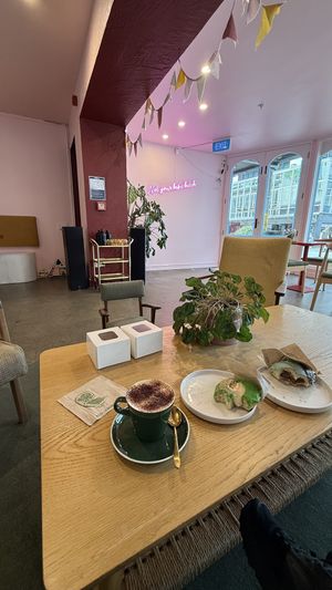 Vibe  at Vonuts in Wellington