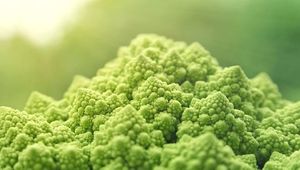  at OMOM PopUp in Basel