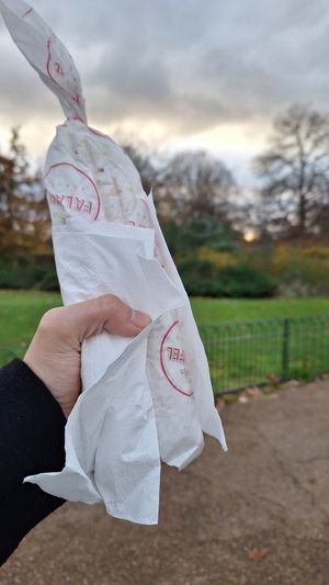 Falafel wrap at Hyde Park! What a great combination 😍 at Viva Falafel - Food Stall in London