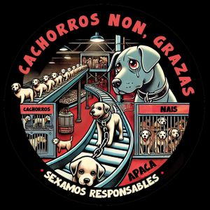 ¿Cachorros? ¡No gracias!
Seamos responsables.

Puppies? No, thanks!
Let's be responsible.
 at Asociación Protectora Animales del Camino (APACA) in Arzua