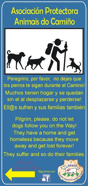 Si te encuentras un perro en el Camino, puede que necesite ayuda o puede que no. 
Llama a protectoras o autoridades y nunca dejes que te siga sin más, pero ayúdalo. 
https://paradoxahumana.com/que-facer-si-atopas-un-animal-abandonado-ou-en-perigo
 at Asociación Protectora Animales del Camino (APACA) in Arzua