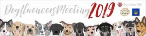 Fomento de la peregrinación con perro. El Dogfluencers Meeting 2019: https://paradoxahumana.com/campana-de-sensibilizacion-no-camino/dogfluencers-meeting-e-codex-canini at Asociación Protectora Animales del Camino (APACA) in Arzua
