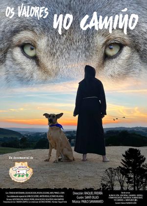 Documental Os Valores No Camiño - The Values on the Way. 
https://paradoxahumana.com/itineris-virtutis  at Asociación Protectora Animales del Camino (APACA) in Arzua