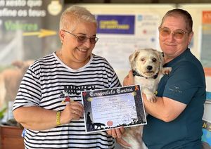 Si llegas a Santiago con tu perro y traes su Credencial Canina, puedes solicitar su Compostela. Pero ¡OjO! Nos reservamos el derecho a no emitirla si vemos signos de negligencia. at Asociación Protectora Animales del Camino (APACA) in Arzua