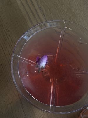   at Kosmopoliet in Bruges