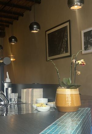   at Kosmopoliet in Bruges