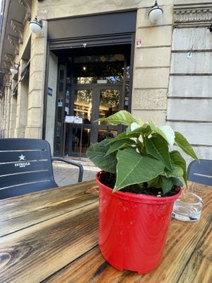 Terrace #Veganuary at Vrutal - Diputació in Barcelona