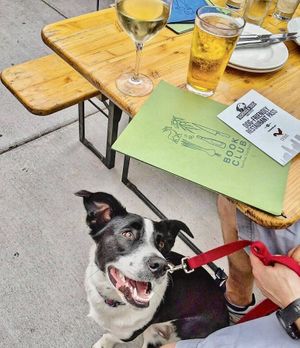 Dog friendly patio :) at Book Club Restaurant in Minneapolis