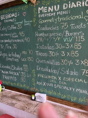 A great menu. All fresh!!!  at Viva La Vegan in Puerto Vallarta