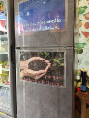 ❤️  at Viva La Vegan in Puerto Vallarta