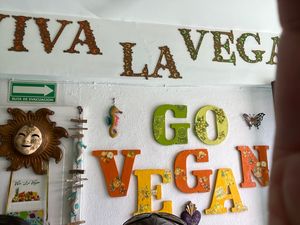 I highly recommend this beautiful restaurant   at Viva La Vegan in Puerto Vallarta
