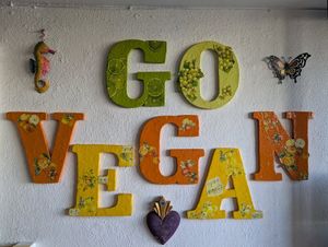 Inside at Viva La Vegan in Puerto Vallarta