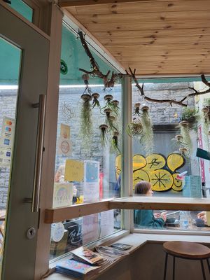 Look at the view at The Lighthouse Cafe in Galway