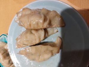 Gyoza at Vegan Izakaya Nowhere in Tokyo
