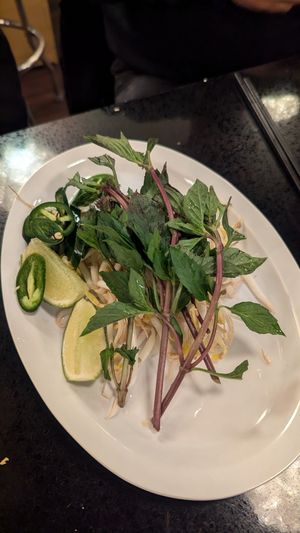  at Lotus Moon Vegan Pho in Boulder