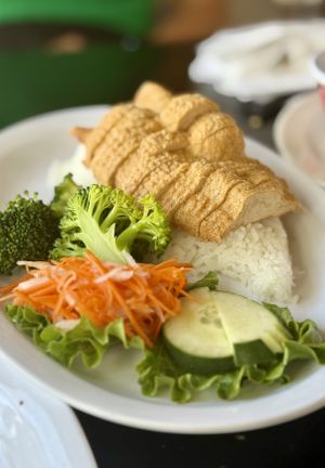   at Lotus Moon Vegan Pho in Boulder